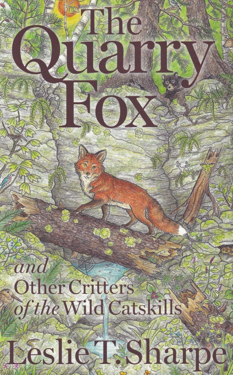 The-Quarry-Fox-Cover.webp Marion Greenwood: Portrait And Self-Portrait—A Biography